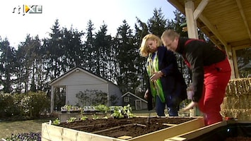 Koffietijd De Koffietijdmoestuin