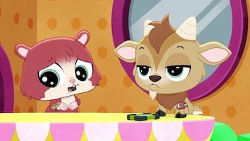 Littlest Pet Shop: A World Of Our Own Afl. 35