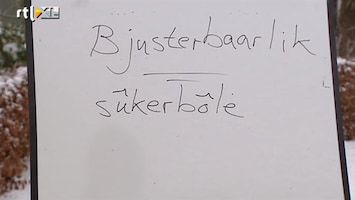Editie NL Fries voor beginners