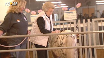 RTL Z Nieuws NL Doet: Koningin druk met pony's en ezels