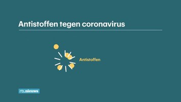 Rtl Nieuws - 19:30 Uur - Laat