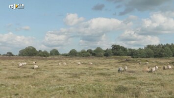 Mooi Duurzaam Nederland 