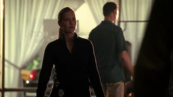 Csi: Miami One night stand