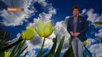 Rtl Weer - 19:55 Uur