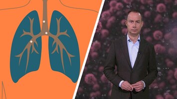Heb je corona? Dit zijn de ziekteverschijnselen