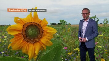 Rtl Weer - Laat