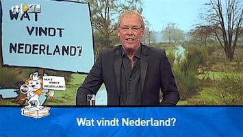 Wat Vindt Nederland? Wat Vind Jij: Thuis of Kantoor?