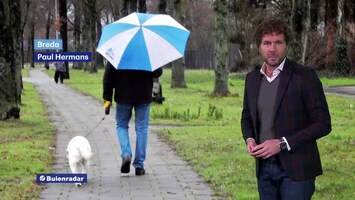 Rtl Weer - Laat