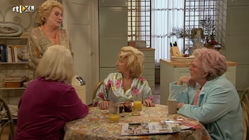 Golden Girls - Harry's Terugkeer