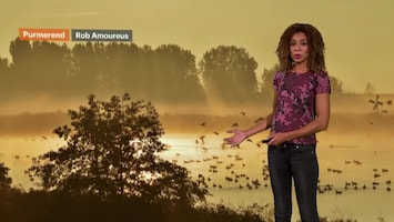 Rtl Weer - Laat