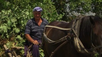 Pluijms Eetbare Wereld - Bulgarije