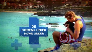 De Dierenkliniek Down Under Afl. 24