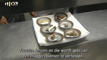 Editie NL Medicinaal driegangenmenu