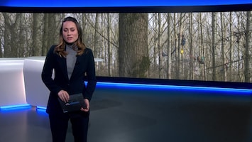 Rtl Nieuws - 19:30 Uur - Laat