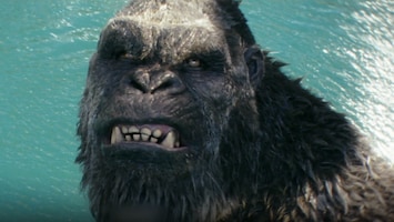 Nieuwe Godzilla x Kong-film belooft episch spektakel te worden