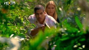 Csi: Miami - Raging Cannibal