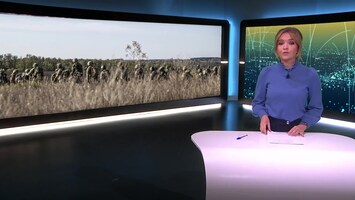 Rtl Nieuws - 19:30 Uur - 18:00 Uur