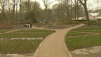 RTL Nieuws Kale Keukenhof geopend door Naomi van As