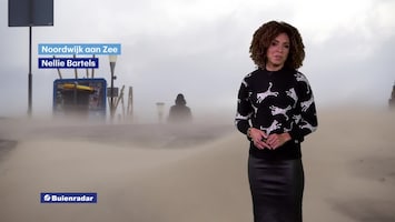 Rtl Weer - 19:55 Uur