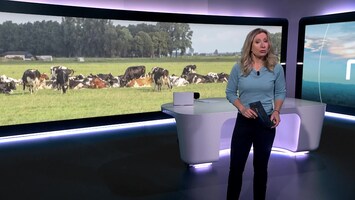 Rtl Nieuws - 19:30 Uur - 07:00 Uur