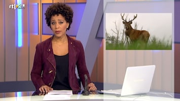 RTL Nieuws RTL Nieuws - 09:00 uur