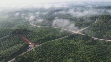 Hier komt de nieuwe hoofdstad van Indonesië