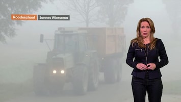 Rtl Weer - Laat