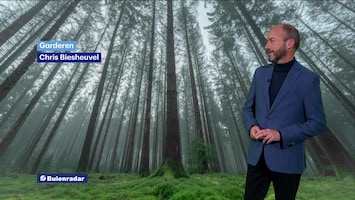 Rtl Weer - 19:55