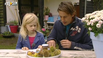 Green-kids 'Kun je alle kastanjes eten?'