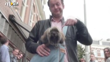 RTL Boulevard 'Hond couture' tijdens Amsterdam Fashion Week