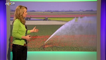 RTL Weer RTL Weer (late Uitzending)