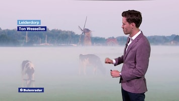 Rtl Weer - 19:55 Uur