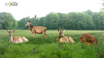 RTL Nieuws Natuurbescherming vs. jagers om plannen Bleker