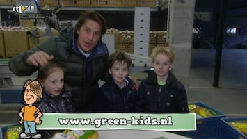 Green-kids - Aardappelen