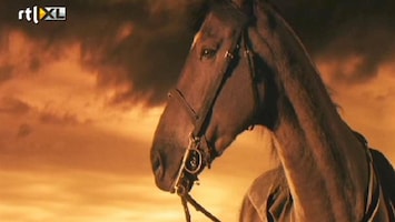 RTL Nieuws Trailer: War Horse