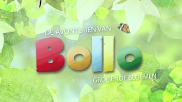 De Avonturen Van Bollo Afl. 3