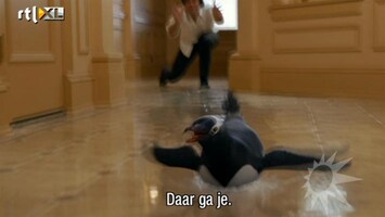 RTL Boulevard Jim Carrey in Mr. Poppers Penguins