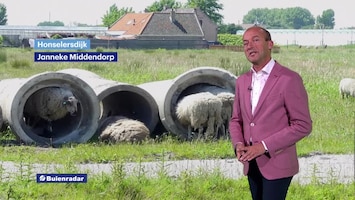 RTL Weer Laat