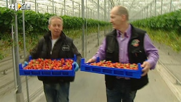 Editie NL Aardbeien plukken of je WW!