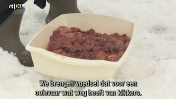 RTL Nieuws Laat