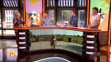 RTL Boulevard Afl. 150