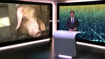 RTL Nieuws 18:00 uur