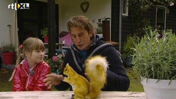 Green-kids 'Waarom heeft een eekhoorn een lange pluimstaart?'