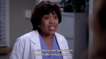 Grey's Anatomy Desire