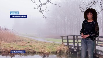 Rtl Weer - Laat