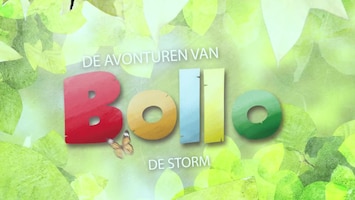 De Avonturen Van Bollo Afl. 4