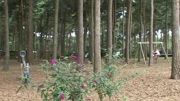 Campinglife Camping Goolderheide
