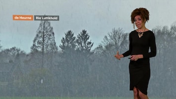 Rtl Weer - 19:55 Uur