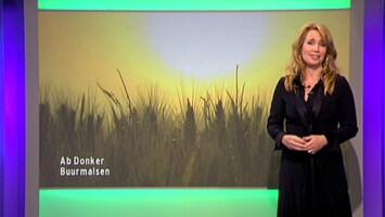 RTL Weer Laat