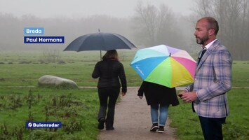 Rtl Weer - 19:55